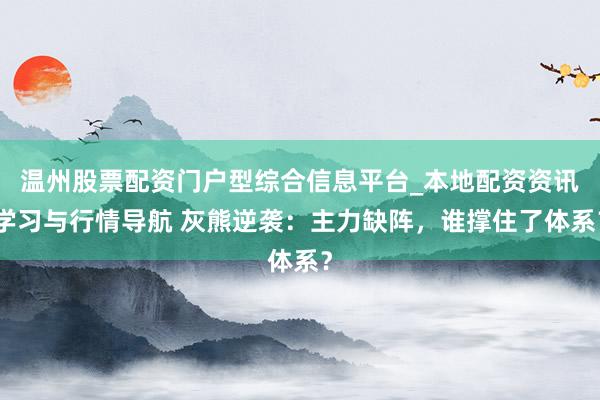 温州股票配资门户型综合信息平台_本地配资资讯学习与行情导航 灰熊逆袭：主力缺阵，谁撑住了体系？