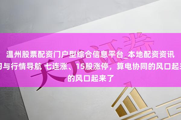 温州股票配资门户型综合信息平台_本地配资资讯学习与行情导航 七连涨、15股涨停，算电协同的风口起来了