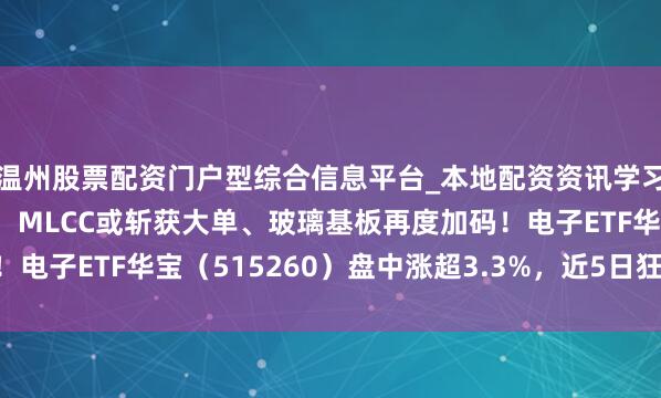 温州股票配资门户型综合信息平台_本地配资资讯学习与行情导航 三星电机：MLCC或斩获大单、玻璃基板再度加码！电子ETF华宝（515260）盘中涨超3.3%，近5日狂揽1.25亿元