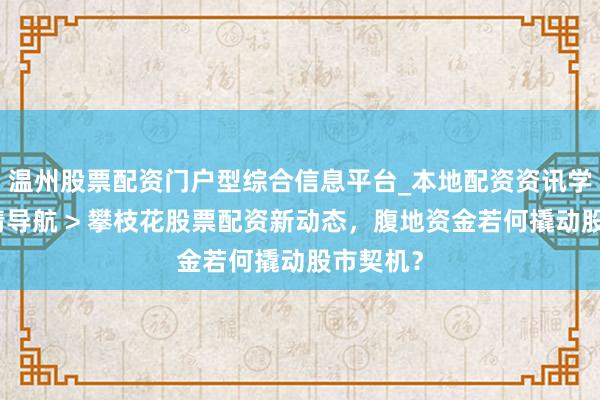 温州股票配资门户型综合信息平台_本地配资资讯学习与行情导航 > 攀枝花股票配资新动态，腹地资金若何撬动股市契机？